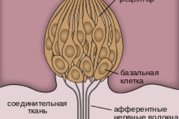 Как пользоваться сайтом блэкспрут