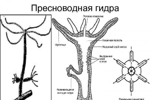 Купить жидкость для вейпа бошки