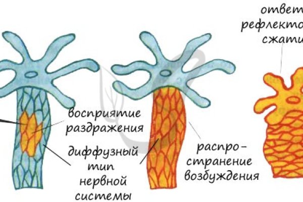 Ссылка на сайт omg omg в тор браузере