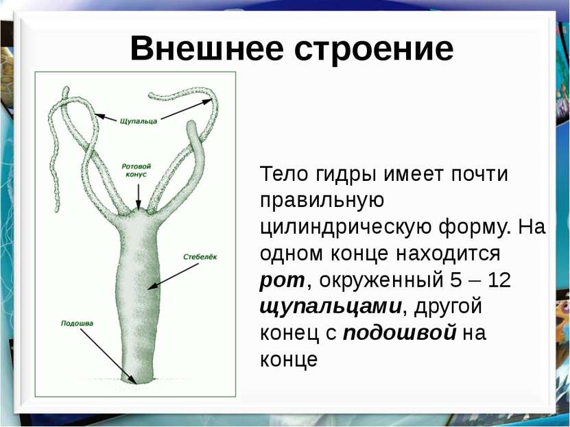 Омг сайт моментальных покупок в обход